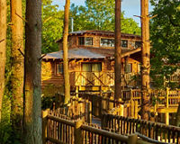 Center Parcs Treehouses — interior and exterior view 37