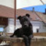 Beadnell Towers & Kitchen — interior and exterior view 52