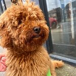Beadnell Towers & Kitchen — interior and exterior view 56