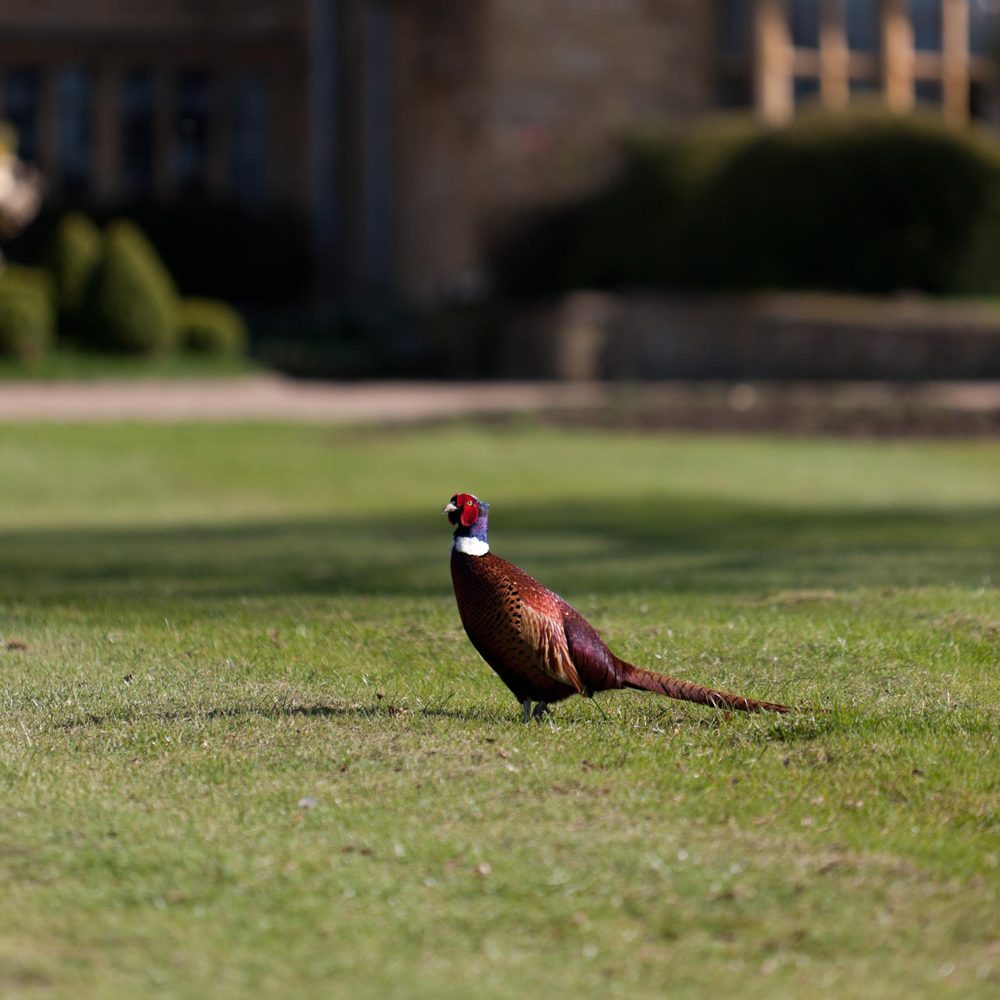 Buckland Manor — interior and exterior view 11