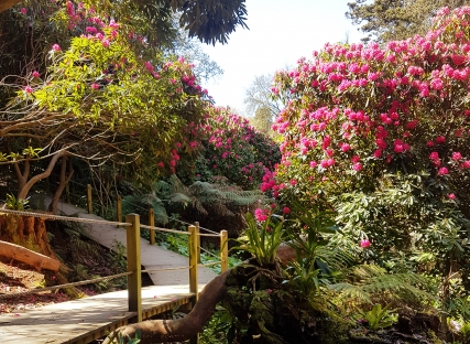 The Nare — interior and exterior view 13