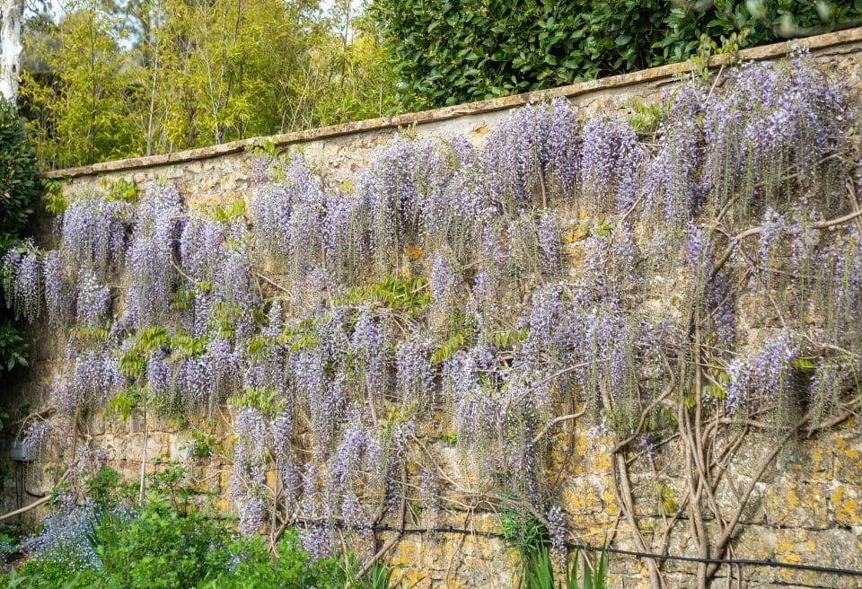 The Ollerod — interior and exterior view 63