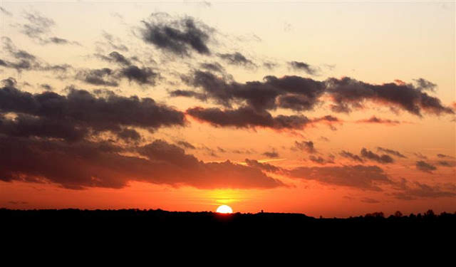 Magazine Wood — interior and exterior view 8