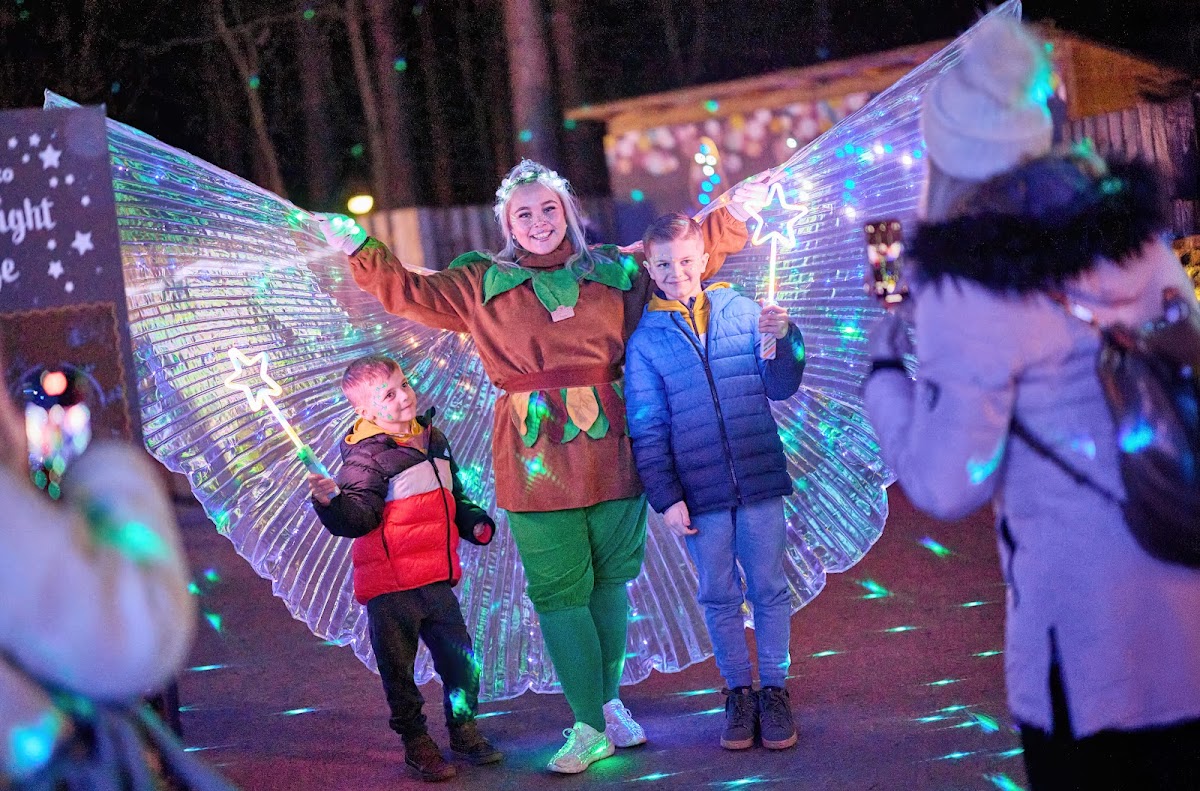 Center Parcs Treehouses — interior and exterior view 5