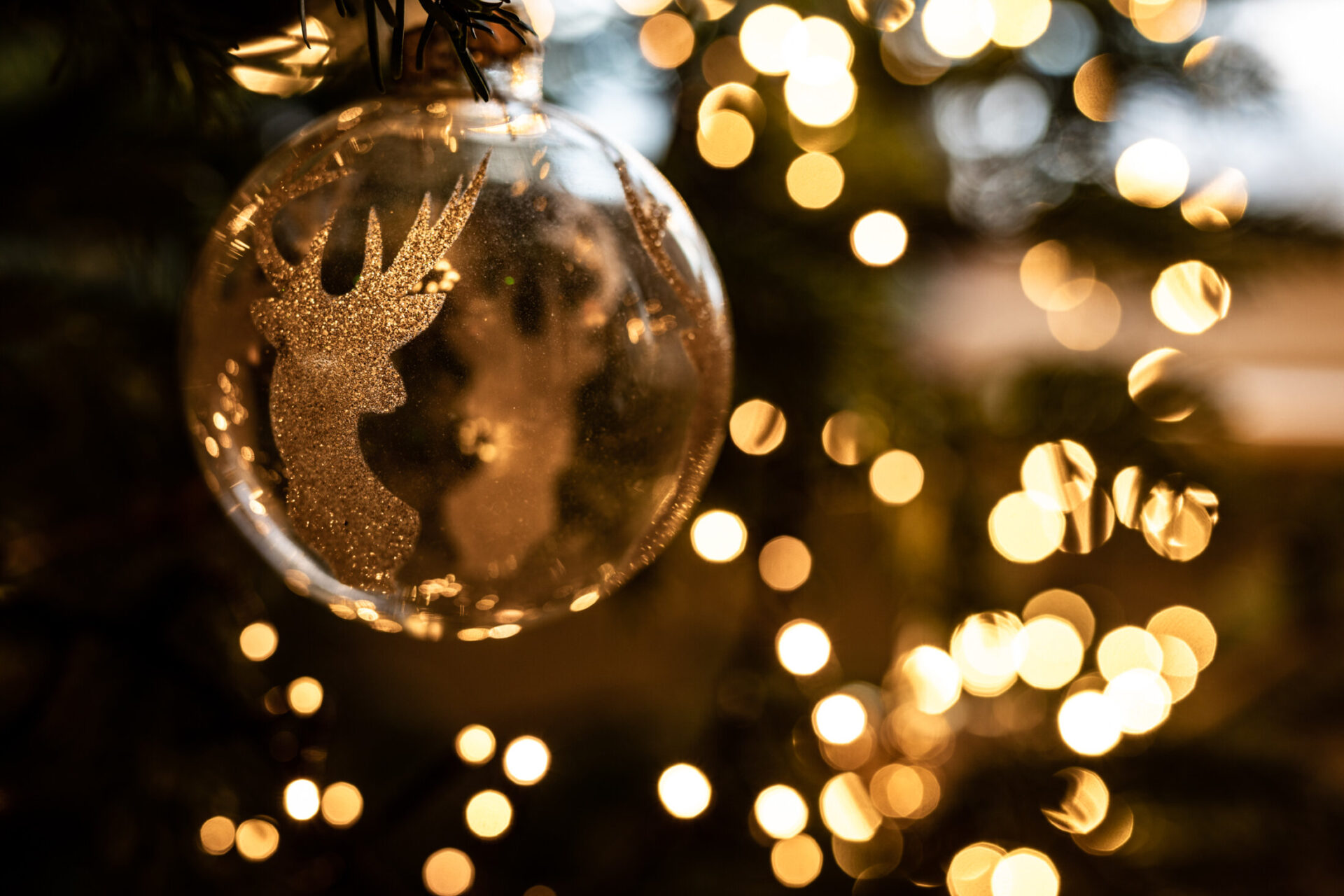 Penmaenuchaf Hall — interior and exterior view 19