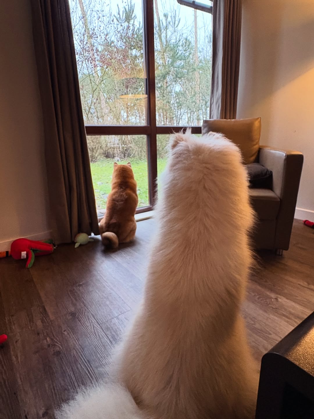 Center Parcs Treehouses — interior and exterior view 56