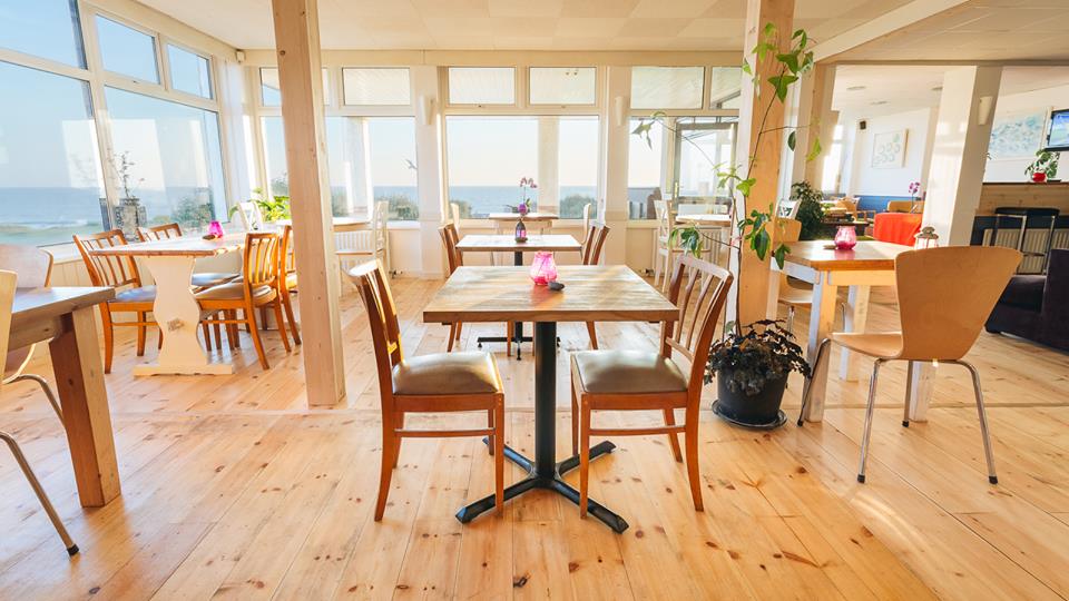 Gaia — Widemouth Bay, Cornwall